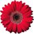 Mary Stockdale's profile image