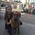 Bridget Setter Mathews's profile image