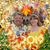 David Arvin's profile image