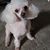 Jodie Gray's profile image