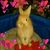 Gregory Johnson's profile image