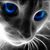 Merrilee Kent Marshall's profile image