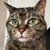 Leigh Carr's profile image