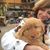 Lisette Uijtenbroek's profile image