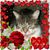 Debbie Stornelli's profile image