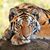 Alison Eves's profile image
