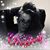 Sarah Cathey's profile image