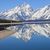 Lawren Starner's profile image