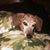 Mike Milliron's profile image