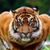 Glenda Tillett's profile image