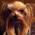 LaDonna Pritchard Rodkey's profile image