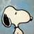 Suzi Stevens's profile image