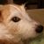 Julie Hofman's profile image