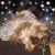 Kmucha Silva de Roel's profile image