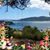Helen Ferrin's profile image