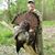 KeithandPatti Stanton's profile image