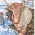 Susan Kissack's profile image