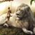 Tamii Cuddie's profile image