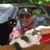 Brian Brazda's profile image