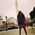 Corina Darold's profile image