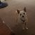 Tony A Veloz's profile image