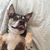 Michelle Campbell's profile image