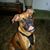 Robin Martinez-Thompson's profile image