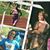 Tachelle Shelton's profile image