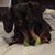 Cindy Reynolds's profile image
