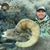 Jason Lintner's profile image