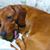 Delinda Mccabe's profile image