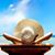 Kimberlee Powell-Sutorius's profile image
