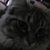 Cheryl Hauck's profile image