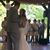 Robyn Bergstrom's profile image