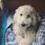 Brenda Hall Howe's profile image