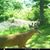 Mary-Kathryn Gray's profile image