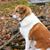 Sandy Wilcoxon-Ely's profile image