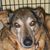 Kathryn Juenemann's profile image
