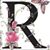 M Del R Avila's profile image