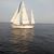 Bridgett Bowlin-Belzer's profile image