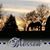 Denise Langevin's profile image
