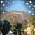 Shelley Dalrymple Domville's profile image
