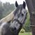 Amberlee Ann Mccloud's profile image