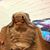 Rebecca Cushing's profile image