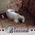 Wendy Caldwell's profile image
