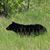 Marsha Aiken Whitaker's profile image
