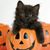 Brenda Christy's profile image