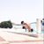 David Pacheco's profile image