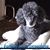 Dorothy Taylor's profile image