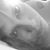 Jennifer Winter's profile image